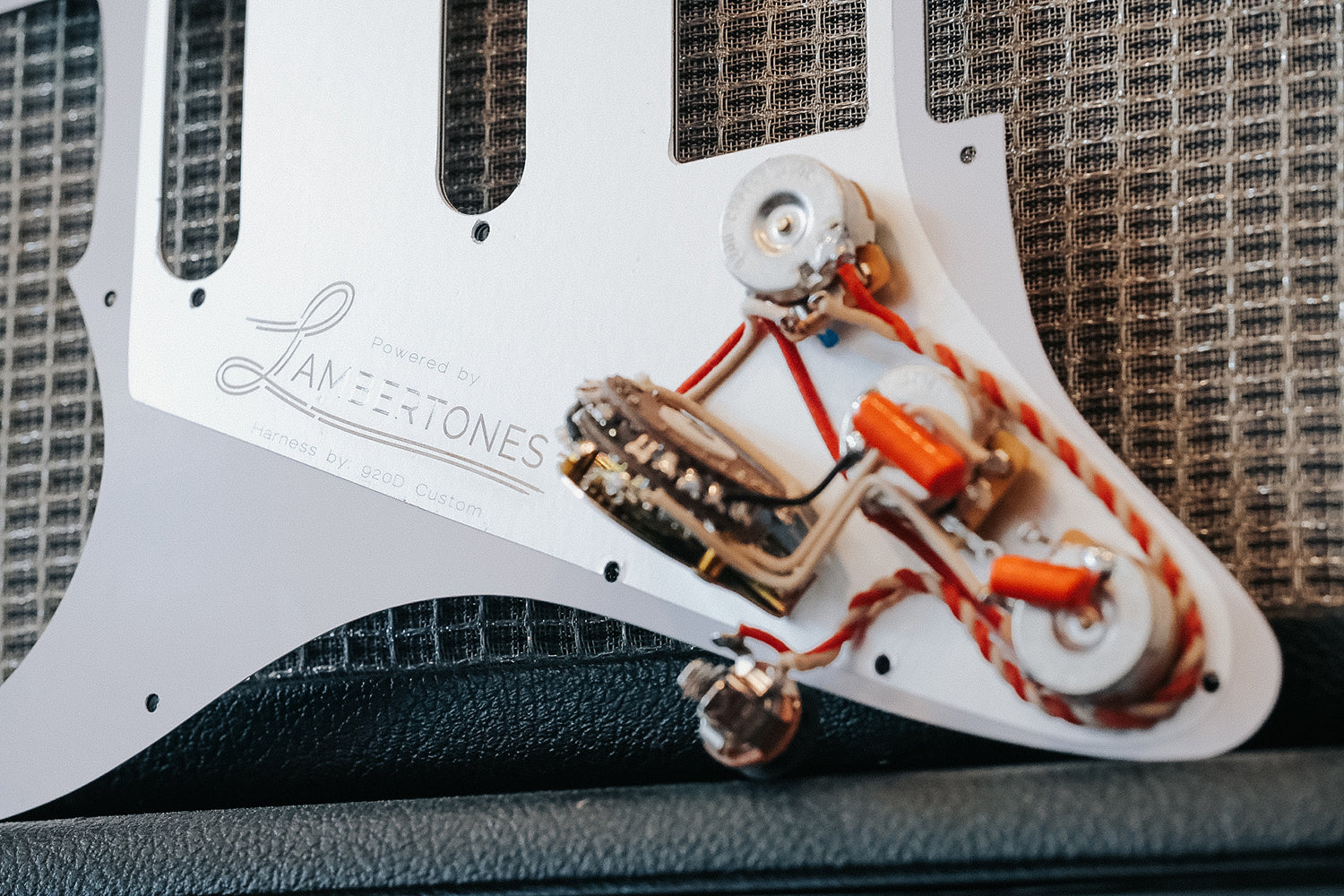 RUSH ORDER: Loaded Pickguard 1-5 business days